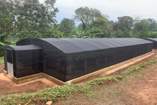 Optimizing Greenhouse Ventilation: Balancing Temperature and Humidity for Maximum Yield