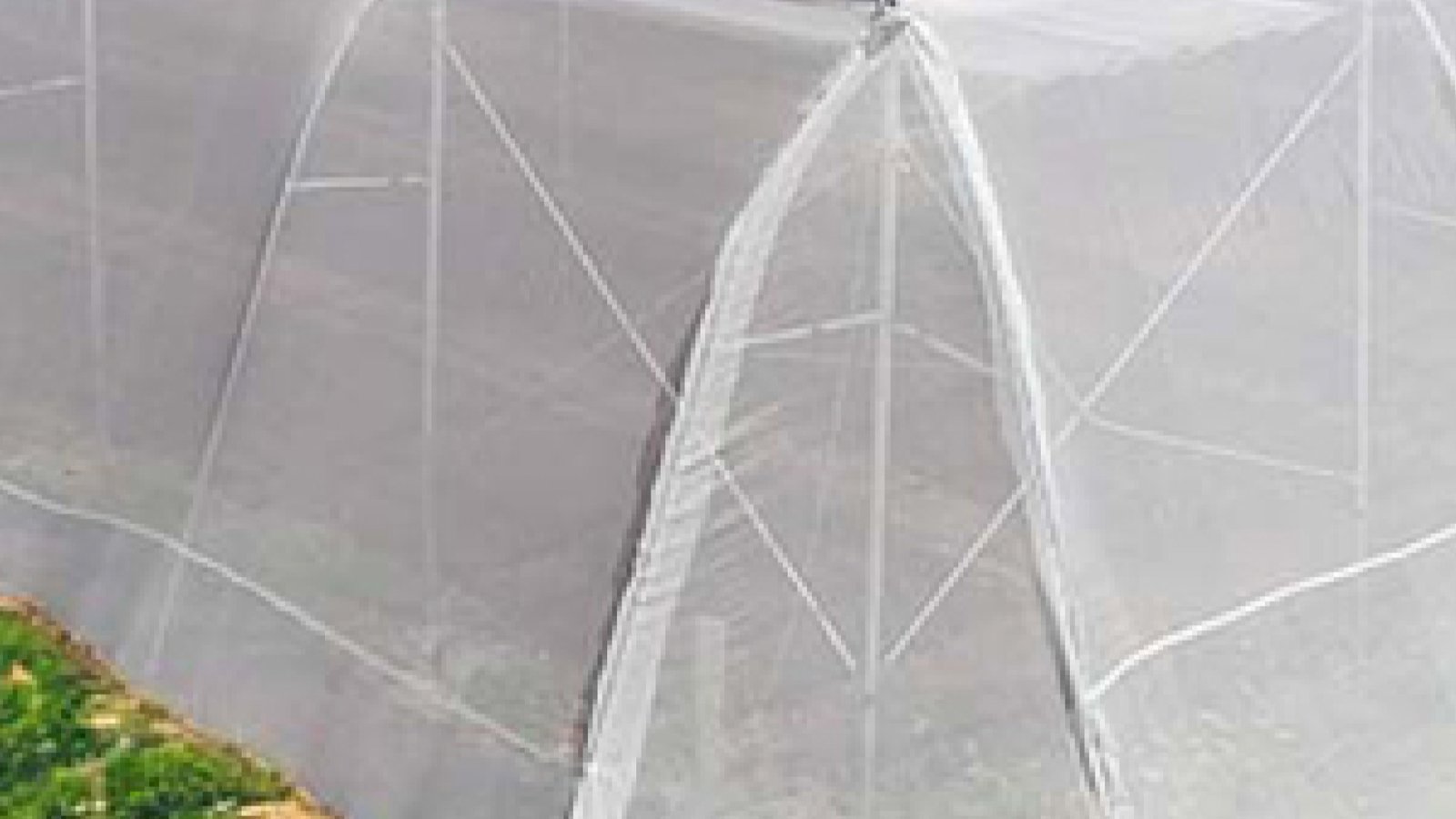  Greenhouse Anti-insect Nets