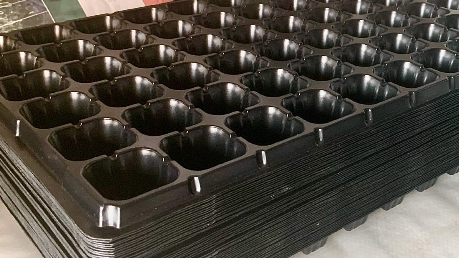  Seedling Trays  - 72 holes