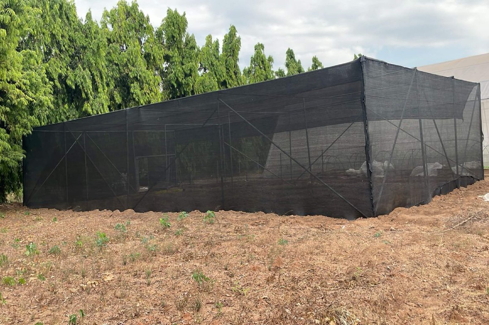 Agricultural Net House with Shade Net for Optimized Crop Microclimate