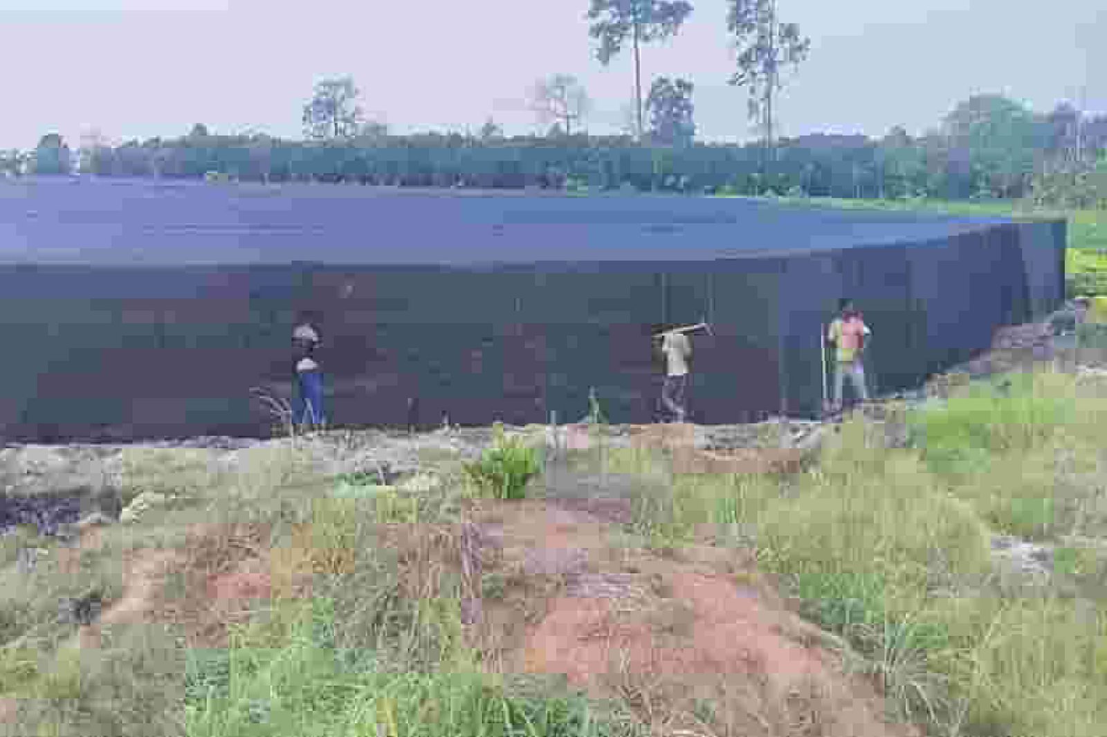 Daniel Gazo and team dancing to music while preparing the soil at the Net House site. 