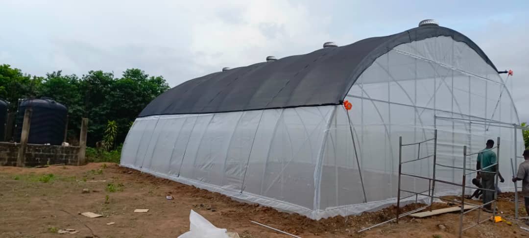 Newly Assembled Locally-Fabricated Greenhouse Structure, with extractor fans
