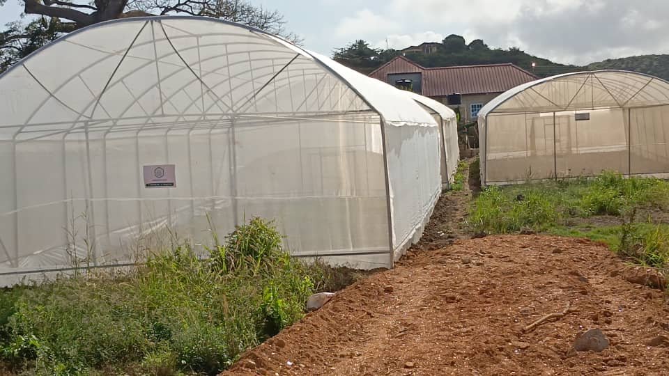 Completed Greenhouse Unit – Locally Engineered and Installed