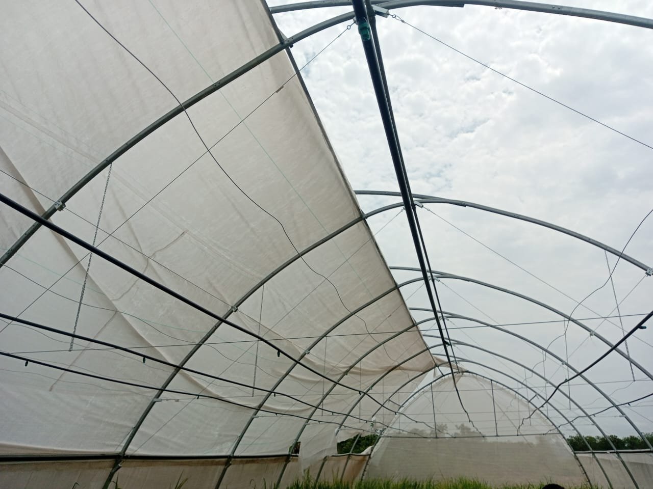 Restored Greenhouse Unit Featuring New Roof Installation.  Fully  Operational - Lead Installer  – John Bentil